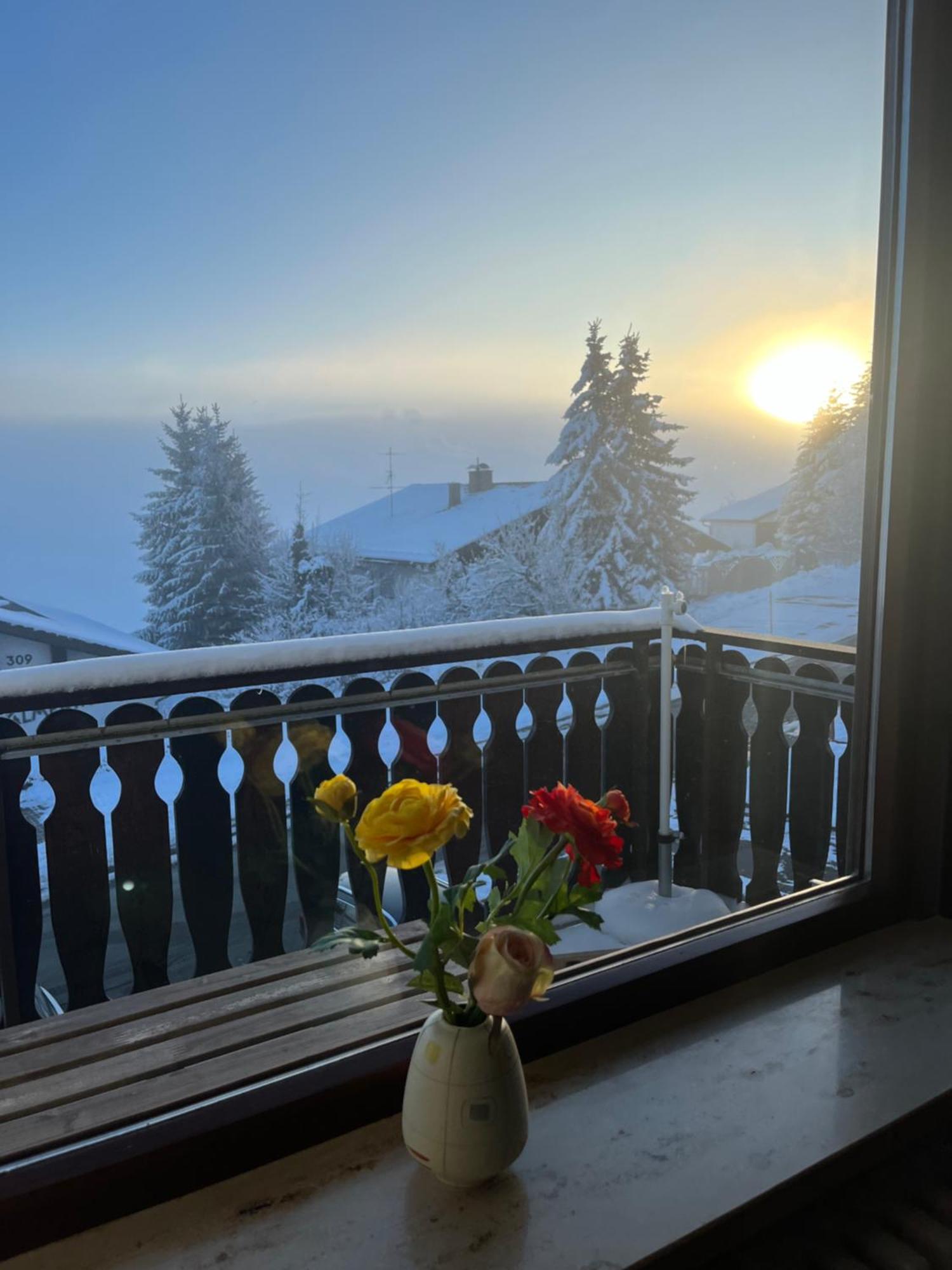 Helle Wohnung Mit Grossem Balkon 오베로이테 외부 사진